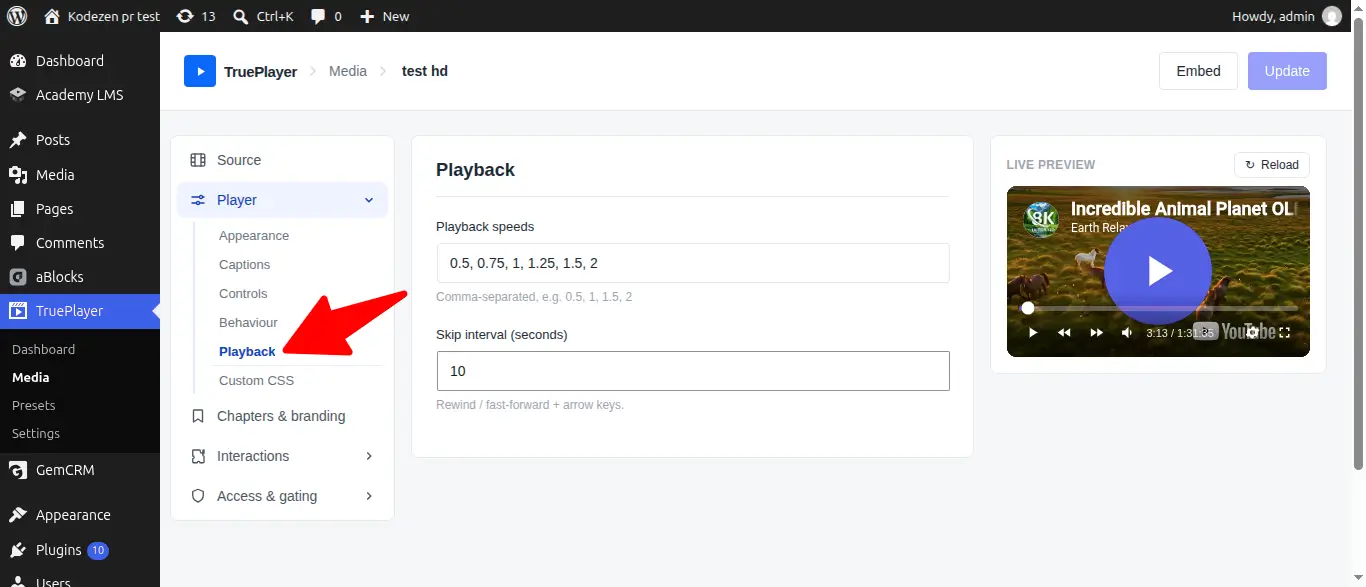 Player Playback