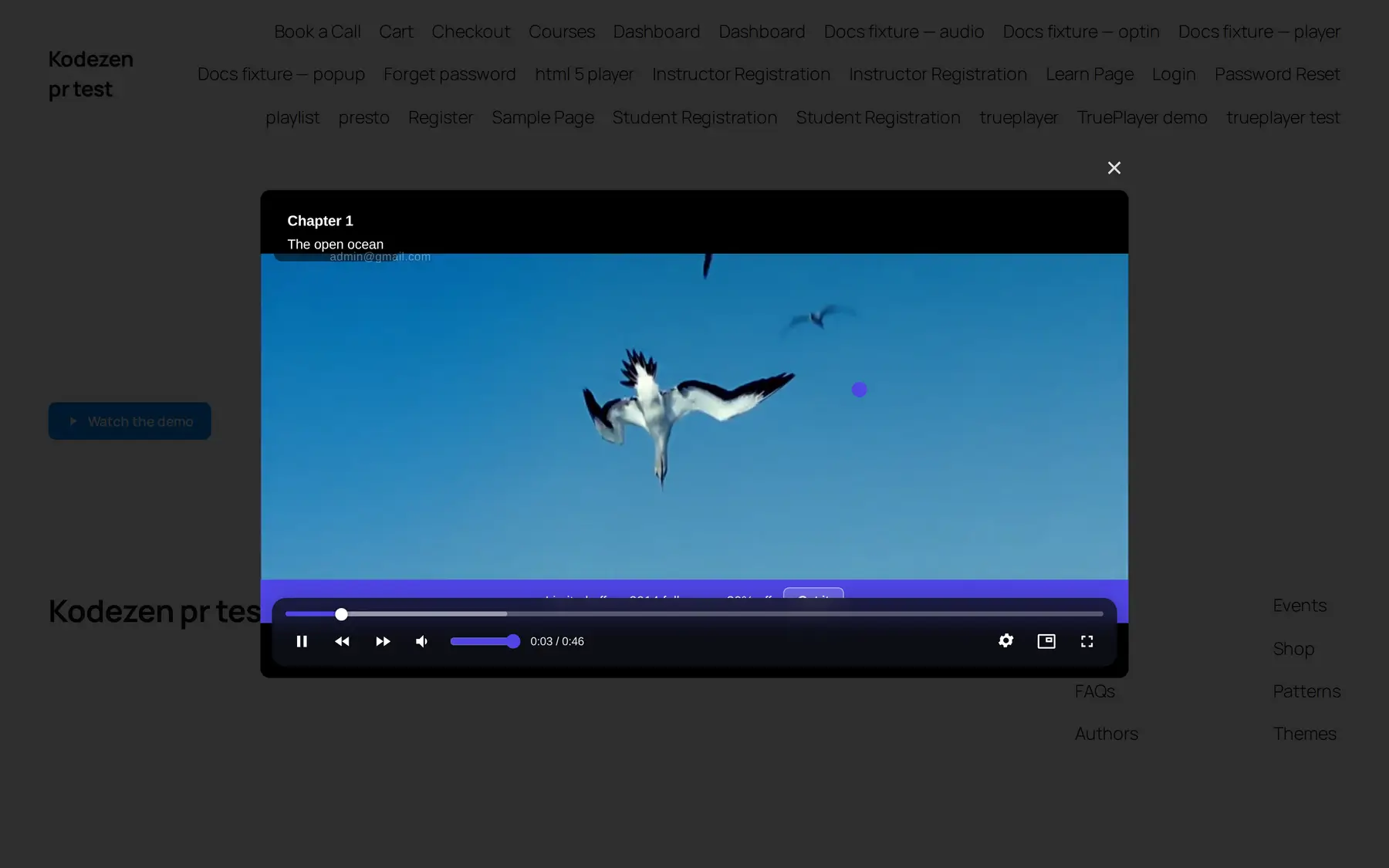 The Popup Embed The Popup Embed